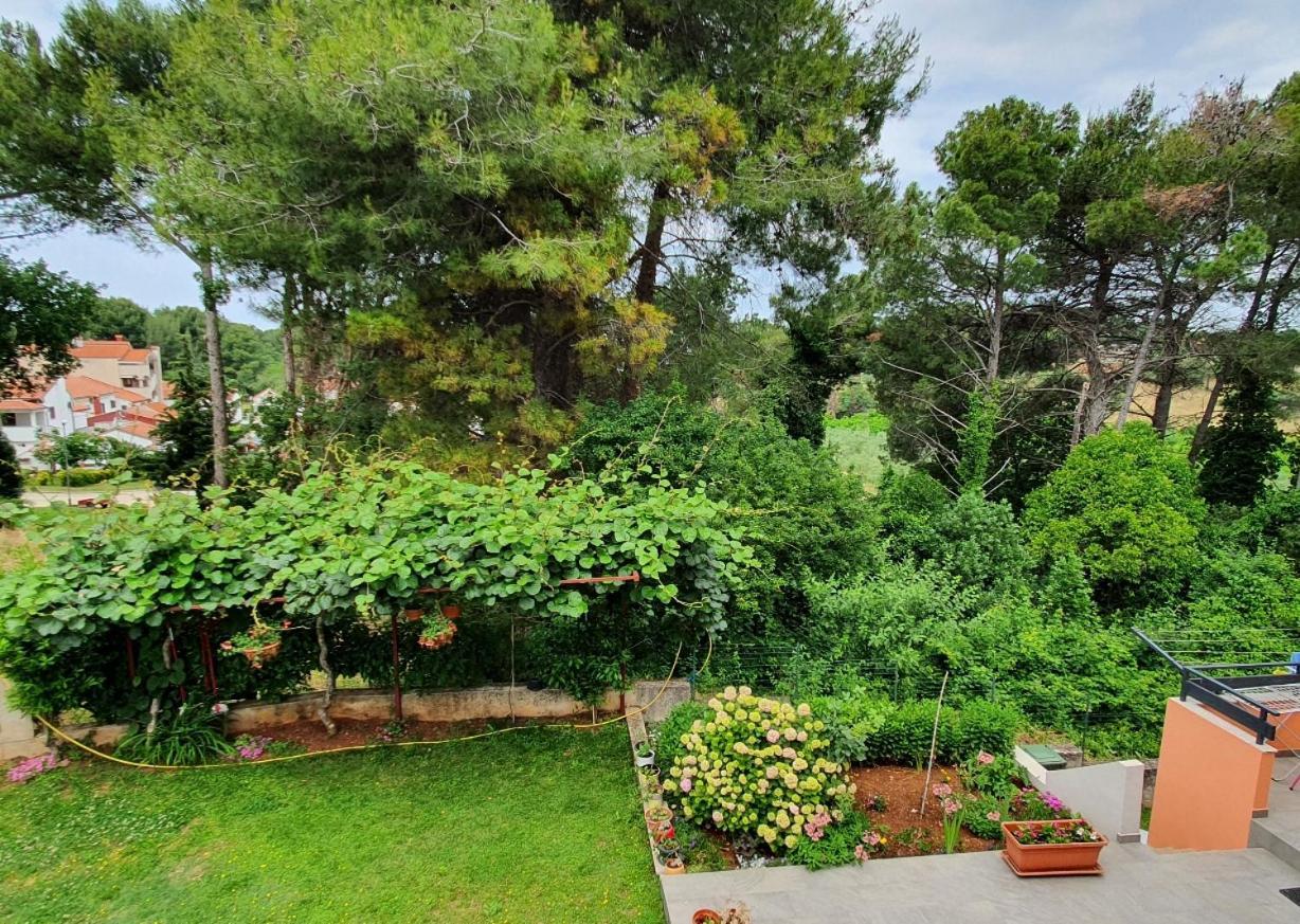 Juli No 2 Apartmán Porec